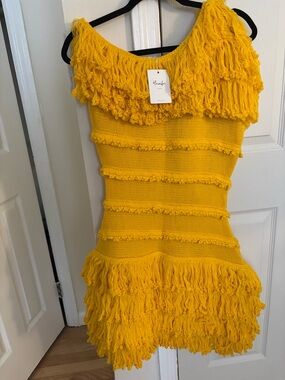 Hanifa Cassandra Mini Tassel Dress